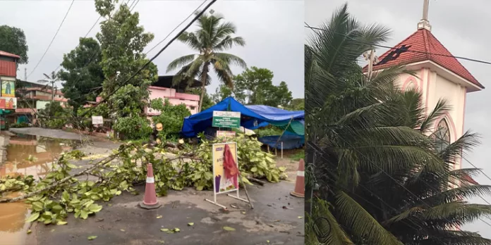ഇന്ന് ഉണ്ടായ ശക്തമായ കാറ്റിലും മഴയിലും റാന്നിയുടെ വിവിധ മേഖലകളിൽ വ്യാപക നാശ നഷ്ടം ഇന്ന് ഉണ്ടായ ശക്തമായ കാറ്റിലും മഴയിലും റാന്നിയുടെ വിവിധ മേഖലകളിൽ വ്യാപക നാശ നഷ്ടം