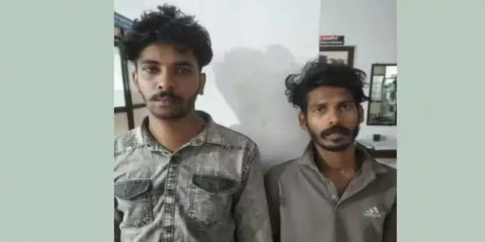 ചേര്ത്തലയില് ആറ് കിലോ കഞ്ചാവുമായി യുവാക്കള് പിടിയില് ചേര്ത്തലയില് ആറ് കിലോ കഞ്ചാവുമായി യുവാക്കള് പിടിയില്