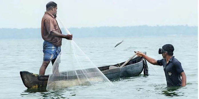 കായലിൽ നീരൊഴുക്കു നിലച്ചു ; മീനുകളിൽ രോഗബാധ കൂടി കായലിൽ നീരൊഴുക്കു നിലച്ചു ; മീനുകളിൽ രോഗബാധ കൂടി