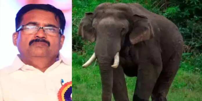 പറമ്പിക്കുളത്തേക്ക് അരിക്കൊമ്പനെ കൊണ്ടുവരരുത് ; നെന്മാറ എംഎല്എയും കോടതിയിലേക്ക് പറമ്പിക്കുളത്തേക്ക് അരിക്കൊമ്പനെ കൊണ്ടുവരരുത് ; നെന്മാറ എംഎല്എയും കോടതിയിലേക്ക്