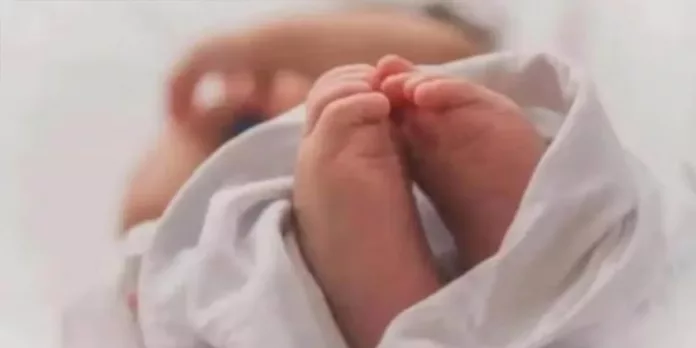 പ്രസവിച്ച ഉടനെ പിഞ്ചുകുഞ്ഞിനെ അമ്മ ജനലിലൂടെ വലിച്ചെറിഞ്ഞ് കൊന്നു പ്രസവിച്ച ഉടനെ പിഞ്ചുകുഞ്ഞിനെ അമ്മ ജനലിലൂടെ വലിച്ചെറിഞ്ഞ് കൊന്നു