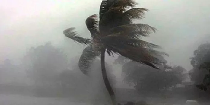 കനത്ത മഴയിലും കാറ്റിലും വന് നാശനഷ്ടം ; സംസ്ഥാനത്ത് മരണം രണ്ടായി കനത്ത മഴയിലും കാറ്റിലും വന് നാശനഷ്ടം ; സംസ്ഥാനത്ത് മരണം രണ്ടായി
