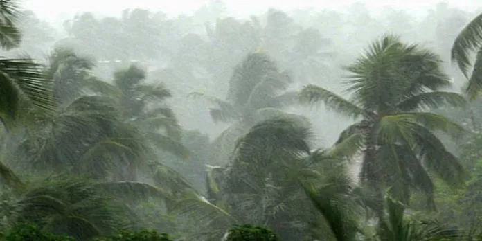 സംസ്ഥാനത്ത് വെള്ളിയാഴ്ച വരെ ഇടിമിന്നലോട് കൂടിയ മഴ, ജാഗ്രത നിര്ദേശം സംസ്ഥാനത്ത് വെള്ളിയാഴ്ച വരെ ഇടിമിന്നലോട് കൂടിയ മഴ, ജാഗ്രത നിര്ദേശം