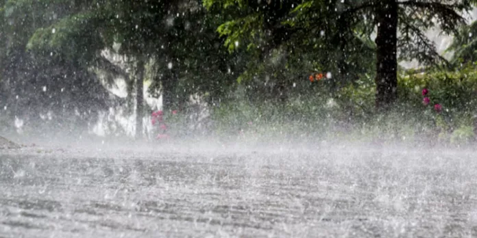 മഴ സാധ്യത ; ജില്ലയിൽ ഇന്ന് (13) മഞ്ഞ അലർട്ട് പുറപ്പെടുവിച്ചു മഴ സാധ്യത ; ജില്ലയിൽ ഇന്ന് (13) മഞ്ഞ അലർട്ട് പുറപ്പെടുവിച്ചു