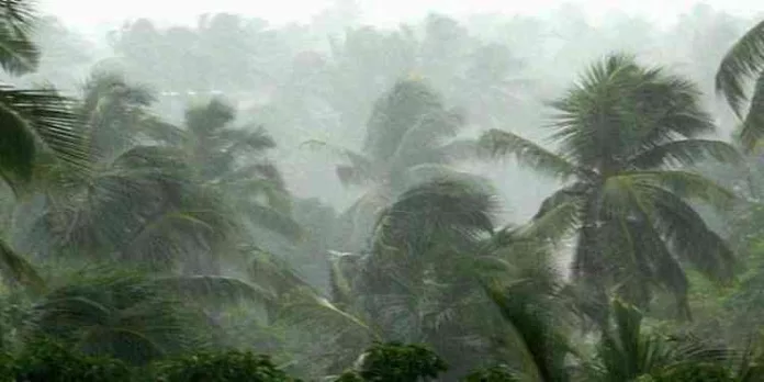 സംസ്ഥാനത്ത് അഞ്ച് ദിവസം കൂടി വേനല് മഴ ; ഉയര്ന്ന തിരമാലയ്ക്കും കടലാക്രമണത്തിനും സാധ്യത സംസ്ഥാനത്ത് അഞ്ച് ദിവസം കൂടി വേനല് മഴ ; ഉയര്ന്ന തിരമാലയ്ക്കും കടലാക്രമണത്തിനും സാധ്യത