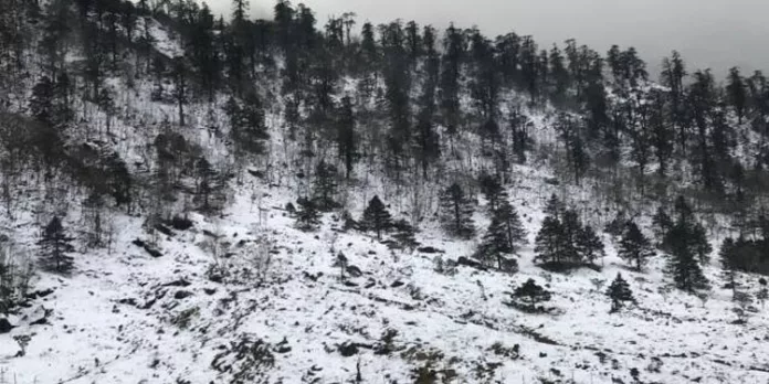 സിക്കിമില് മഞ്ഞിടിച്ചില് ; 6 വിനോദസഞ്ചാരികള് മരിച്ചു സിക്കിമില് മഞ്ഞിടിച്ചില് ; 6 വിനോദസഞ്ചാരികള് മരിച്ചു