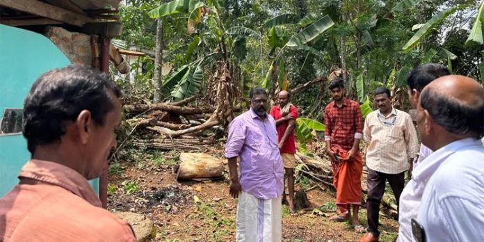 മനുമോഹന്റെ കുടുംബത്തിന് അടിയന്തിര സാമ്പത്തിക സഹായം നല്കും : ഡെപ്യൂട്ടി സ്പീക്കര് മനുമോഹന്റെ കുടുംബത്തിന് അടിയന്തിര സാമ്പത്തിക സഹായം നല്കും : ഡെപ്യൂട്ടി സ്പീക്കര്