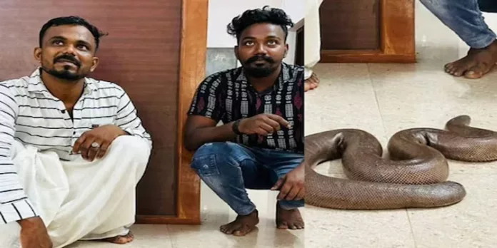 തിരുവനന്തപുരത്ത് ഇരുതലമൂരിയെ വില്ക്കാന് ശ്രമിച്ച രണ്ടു പേര് പിടിയില് തിരുവനന്തപുരത്ത് ഇരുതലമൂരിയെ വില്ക്കാന് ശ്രമിച്ച രണ്ടു പേര് പിടിയില്