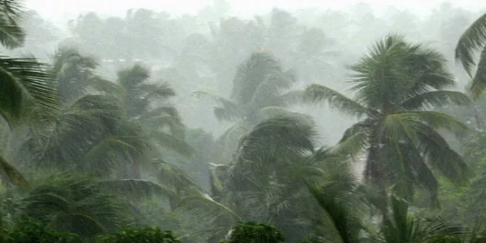 തിങ്കളാഴ്ച വരെ ഇടിമിന്നലോട് കൂടിയ മഴ ; മൂന്ന് ജില്ലകളിൽ യെല്ലോ അലര്ട്ട് തിങ്കളാഴ്ച വരെ ഇടിമിന്നലോട് കൂടിയ മഴ ; മൂന്ന് ജില്ലകളിൽ യെല്ലോ അലര്ട്ട്