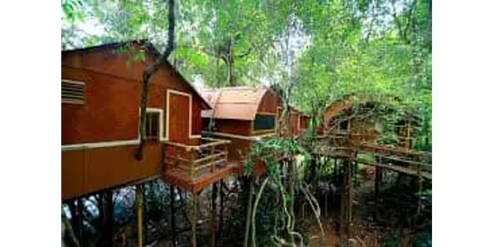 വനംവകുപ്പിന്റെ അടവി ഇക്കോ ടൂറിസം പദ്ധതിയിലെ മുളങ്കുടിലുകളുടെ വാടക കുറച്ചു വനംവകുപ്പിന്റെ അടവി ഇക്കോ ടൂറിസം പദ്ധതിയിലെ മുളങ്കുടിലുകളുടെ വാടക കുറച്ചു