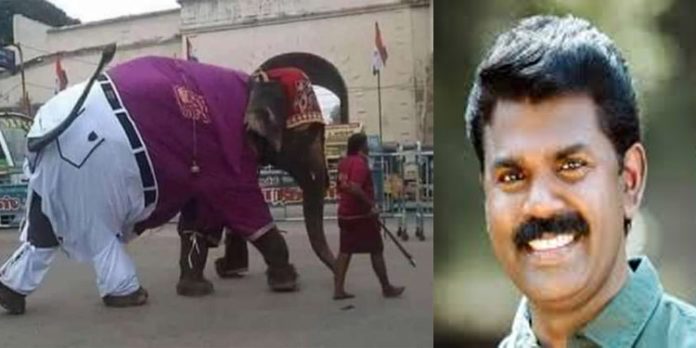 അരിക്കൊമ്പനുമായി കിഴക്കമ്പലത്തേക്ക് ; സാബു ജേക്കബിനെ പരിഹസിച്ച് പി.വി. ശ്രീനിജിന് എം.എല്.എ അരിക്കൊമ്പനുമായി കിഴക്കമ്പലത്തേക്ക് ; സാബു ജേക്കബിനെ പരിഹസിച്ച് പി.വി. ശ്രീനിജിന് എം.എല്.എ