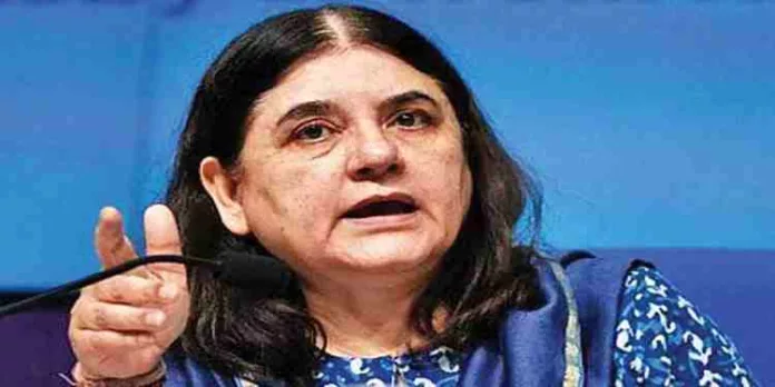 ‘വനിതാ ഗുസ്തി താരങ്ങളുടെ വേദന മനസിലാക്കുന്നു’; പിന്തുണയുമായി മനേകാ ഗാന്ധി എം.പി ‘വനിതാ ഗുസ്തി താരങ്ങളുടെ വേദന മനസിലാക്കുന്നു’; പിന്തുണയുമായി മനേകാ ഗാന്ധി എം.പി