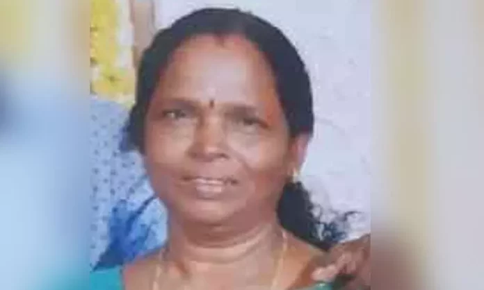 റോഡ് മുറിച്ചുകടക്കവെ പിക്ക് അപ്പ് വാനിടിച്ച് വീട്ടമ്മക്ക് ദാരുണാന്ത്യം റോഡ് മുറിച്ചുകടക്കവെ പിക്ക് അപ്പ് വാനിടിച്ച് വീട്ടമ്മക്ക് ദാരുണാന്ത്യം