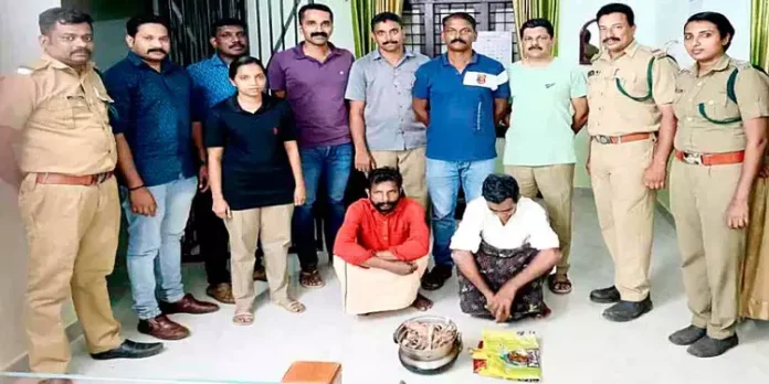 മ്ലാവിനെ കൊന്ന് ഇറച്ചിയാക്കിയ സംഭവം ; രണ്ടുപേർ പിടിയിൽ മ്ലാവിനെ കൊന്ന് ഇറച്ചിയാക്കിയ സംഭവം ; രണ്ടുപേർ പിടിയിൽ
