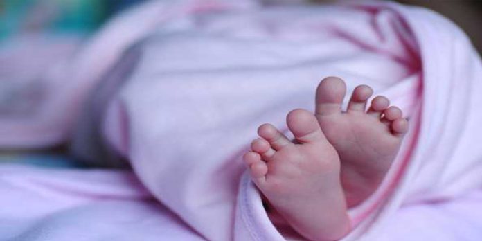 സര്ക്കാര് ആശുപത്രിയില് നിന്ന് സ്ത്രീ നവജാതശിശുവിനെ മോഷ്ടിച്ചു ; അന്വേഷണം സര്ക്കാര് ആശുപത്രിയില് നിന്ന് സ്ത്രീ നവജാതശിശുവിനെ മോഷ്ടിച്ചു ; അന്വേഷണം