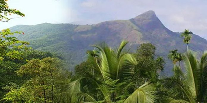 കരുവാരക്കുണ്ട് മലയില് രണ്ടുപേര് കുടുങ്ങി ; തിരച്ചിൽ തുടങ്ങി കരുവാരക്കുണ്ട് മലയില് രണ്ടുപേര് കുടുങ്ങി ; തിരച്ചിൽ തുടങ്ങി