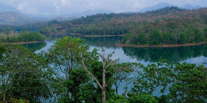 തിരുവനന്തപുരം പേപ്പാറ ഡാമില് യുവാവിനെ കാണാതായി തിരുവനന്തപുരം പേപ്പാറ ഡാമില് യുവാവിനെ കാണാതായി