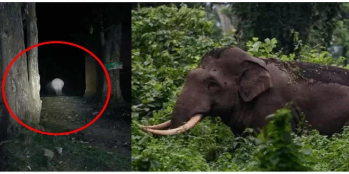 അരിക്കൊമ്പന് വീണ്ടും ജനവാസ മേഖലയില്, വിശദീകരണവുമായി വനംവകുപ്പ് അരിക്കൊമ്പന് വീണ്ടും ജനവാസ മേഖലയില്, വിശദീകരണവുമായി വനംവകുപ്പ്