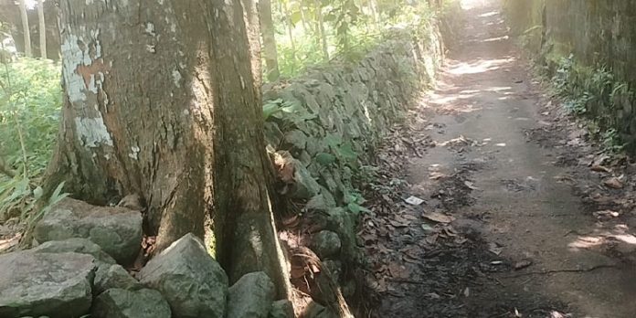 വാളിപ്ലാക്കൽ – ഉപ്പുകുളത്തിൽപടി പഞ്ചായത്ത് റോഡിൽ വാഹന യാത്ര ദുഷ്ക്കരം വാളിപ്ലാക്കൽ – ഉപ്പുകുളത്തിൽപടി പഞ്ചായത്ത് റോഡിൽ വാഹന യാത്ര ദുഷ്ക്കരം
