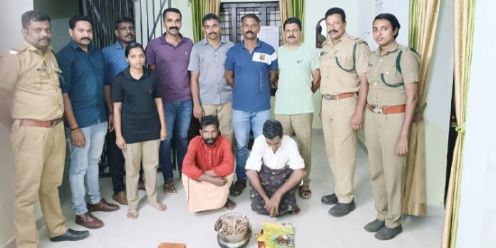 മ്ലാവിനെ പന്നിപടക്കം ഉപയോഗിച്ച് കൊന്ന സംഭവത്തിൽ രണ്ട് പേർ പിടിയിൽ മ്ലാവിനെ പന്നിപടക്കം ഉപയോഗിച്ച് കൊന്ന സംഭവത്തിൽ രണ്ട് പേർ പിടിയിൽ
