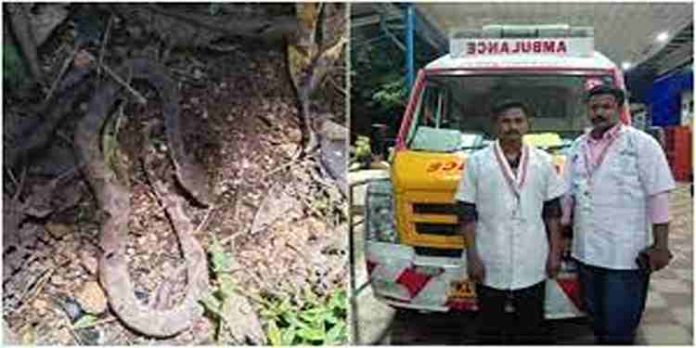 അടൂരില് പാമ്പ് കടിയേറ്റ വിദ്യാര്ഥിയെ 50 മിനിറ്റില് തിരുവനന്തപുരത്ത് എത്തിച്ചു അടൂരില് പാമ്പ് കടിയേറ്റ വിദ്യാര്ഥിയെ 50 മിനിറ്റില് തിരുവനന്തപുരത്ത് എത്തിച്ചു