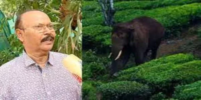 അരിക്കൊമ്പൻ ചിന്നക്കനാലിലേക്ക് മടങ്ങിയെത്താൻ സാധ്യതയില്ല, വിമർശിക്കുന്നവർ വിവരമില്ലാത്തവർ ; വിദഗ്ധ സമിതി അംഗം അരിക്കൊമ്പൻ ചിന്നക്കനാലിലേക്ക് മടങ്ങിയെത്താൻ സാധ്യതയില്ല, വിമർശിക്കുന്നവർ വിവരമില്ലാത്തവർ ; വിദഗ്ധ സമിതി അംഗം