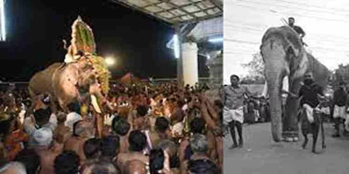 നീണ്ട 16 വര്ഷം; തെച്ചിക്കോട്ടുകാവ് രാമന്ചന്ദ്രന് വീണ്ടും കൂടല്മാണിക്യ ക്ഷേത്രത്തിലെത്തി നീണ്ട 16 വര്ഷം; തെച്ചിക്കോട്ടുകാവ് രാമന്ചന്ദ്രന് വീണ്ടും കൂടല്മാണിക്യ ക്ഷേത്രത്തിലെത്തി