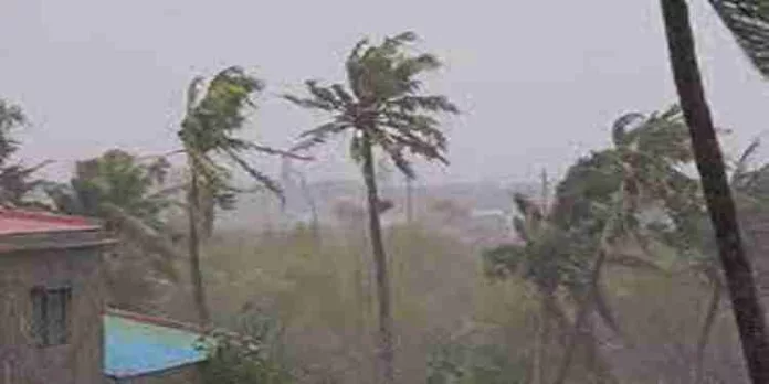 കേരളത്തിൽ വ്യാപക മഴയ്ക്ക് സാധ്യത, ബിപോർജോയ് ശക്തി കുറഞ്ഞു കേരളത്തിൽ വ്യാപക മഴയ്ക്ക് സാധ്യത, ബിപോർജോയ് ശക്തി കുറഞ്ഞു