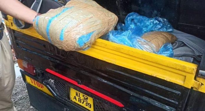 ഓട്ടോറിക്ഷയില് കയറ്റി കൊണ്ട് പോയ 11 കിലോ കഞ്ചാവ് പിടികൂടി ഓട്ടോറിക്ഷയില് കയറ്റി കൊണ്ട് പോയ 11 കിലോ കഞ്ചാവ് പിടികൂടി