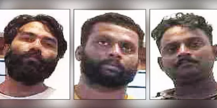 നാടൻ തോക്ക് അറ്റകുറ്റപ്പണി നടത്തുന്നതിനിടെ മൂന്നംഗ സംഘം വനപാലകരുടെ പിടിയിൽ നാടൻ തോക്ക് അറ്റകുറ്റപ്പണി നടത്തുന്നതിനിടെ മൂന്നംഗ സംഘം വനപാലകരുടെ പിടിയിൽ