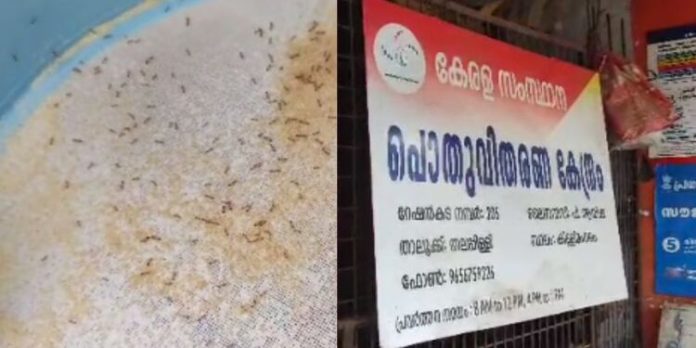 റേഷൻ കടയിൽ നിന്നും വാങ്ങിയ ഗോതമ്പ് പൊടി പാക്കറ്റ് പൊട്ടിച്ചപ്പോൾ ജീവനുള്ള പുഴുക്കൾ ; പ്രതിഷേധവുമായി നാട്ടുകാർ റേഷൻ കടയിൽ നിന്നും വാങ്ങിയ ഗോതമ്പ് പൊടി പാക്കറ്റ് പൊട്ടിച്ചപ്പോൾ ജീവനുള്ള പുഴുക്കൾ ; പ്രതിഷേധവുമായി നാട്ടുകാർ