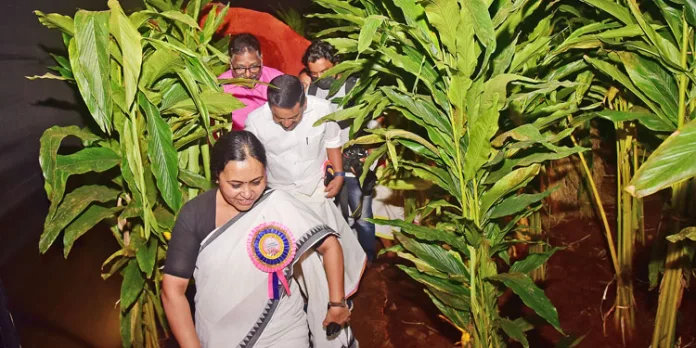 എന്റെ കേരളം പ്രദർശന വിപണന മേളയിൽ വൈവിധ്യമേറിയ സ്റ്റാളുകൾ എന്റെ കേരളം പ്രദർശന വിപണന മേളയിൽ വൈവിധ്യമേറിയ സ്റ്റാളുകൾ
