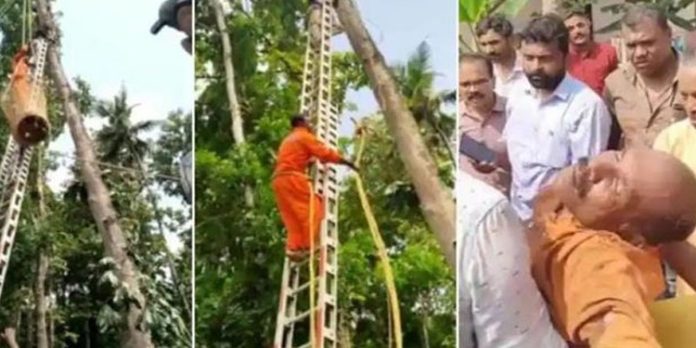 മരം വെട്ടുന്നതിനിടെ തൊഴിലാളി മരത്തിൽ കുടുങ്ങി ; രക്ഷകരായി അഗ്നിശമനസേന മരം വെട്ടുന്നതിനിടെ തൊഴിലാളി മരത്തിൽ കുടുങ്ങി ; രക്ഷകരായി അഗ്നിശമനസേന