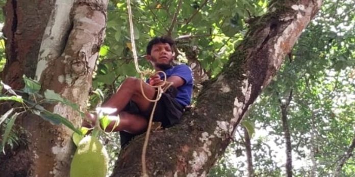 കള്ളക്കേസിൽ കുടുക്കിയ വനംവകുപ്പ് ഉദ്യോഗസ്ഥരെ തിരിച്ചെടുത്തു ; മരത്തിന് മുകളില് കയറി യുവാവിന്റെ ആത്മഹത്യാ ഭീഷണി കള്ളക്കേസിൽ കുടുക്കിയ വനംവകുപ്പ് ഉദ്യോഗസ്ഥരെ തിരിച്ചെടുത്തു ; മരത്തിന് മുകളില് കയറി യുവാവിന്റെ ആത്മഹത്യാ ഭീഷണി