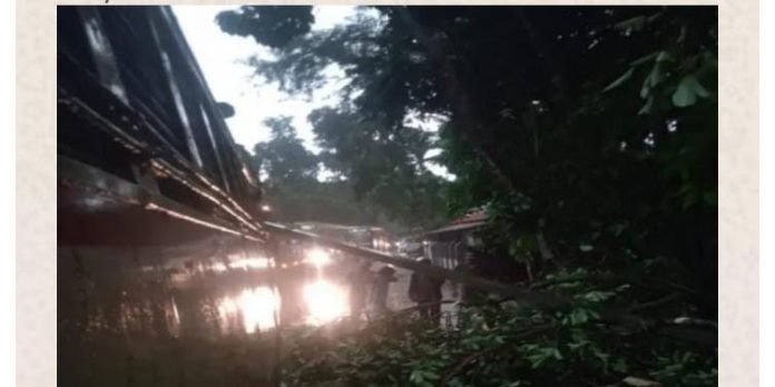 ശക്തമായ കാറ്റിൽ തിരുവല്ലയിൽ കെ.എസ്.ആർ.ടി.സി ബസിന് മുകളിലേക്ക് വൈദ്യുതി പോസ്റ്റ് ഒടിഞ്ഞു വീണ് അപകടം ശക്തമായ കാറ്റിൽ തിരുവല്ലയിൽ കെ.എസ്.ആർ.ടി.സി ബസിന് മുകളിലേക്ക് വൈദ്യുതി പോസ്റ്റ് ഒടിഞ്ഞു വീണ് അപകടം