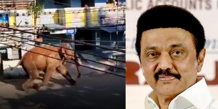 കമ്പത്ത് 144 പ്രഖ്യാപിച്ചു ; ഉച്ചയ്ക്കുശേഷം അരിക്കൊമ്പനെ മയക്കുവെടിവെയ്ക്കും കമ്പത്ത് 144 പ്രഖ്യാപിച്ചു ; ഉച്ചയ്ക്കുശേഷം അരിക്കൊമ്പനെ മയക്കുവെടിവെയ്ക്കും