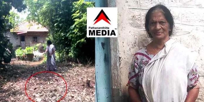 പെരുനാട്ടില് രാവിലെ വീട്ടുമുറ്റത്ത് പുലി ; ഭീതിയോടെ ജനങ്ങള് – ജനപ്രതിനിധികള്ക്ക് നിസ്സംഗത പെരുനാട്ടില് രാവിലെ വീട്ടുമുറ്റത്ത് പുലി ; ഭീതിയോടെ ജനങ്ങള് – ജനപ്രതിനിധികള്ക്ക് നിസ്സംഗത