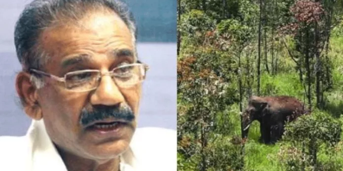 ആനക്കൊമ്പന്റെ കാര്യത്തില് ആശങ്ക വേണ്ട ; മന്ത്രി എ.കെ ശശീന്ദ്രന് ആനക്കൊമ്പന്റെ കാര്യത്തില് ആശങ്ക വേണ്ട ; മന്ത്രി എ.കെ ശശീന്ദ്രന്