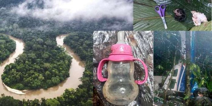 വിമാനപകടം , അമ്മ മരിച്ചു ; വന്യമൃഗങ്ങൾ നിറഞ്ഞ കാട്ടിലൂടെ ജീവൻ തേടി അലഞ്ഞ് നാല് കുട്ടികൾ വിമാനപകടം , അമ്മ മരിച്ചു ; വന്യമൃഗങ്ങൾ നിറഞ്ഞ കാട്ടിലൂടെ ജീവൻ തേടി അലഞ്ഞ് നാല് കുട്ടികൾ