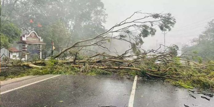 ഗുജറാത്തില് കനത്ത നാശം വിതച്ച് ബിപോർജോയ് : രണ്ട് മരണം, നിരവധി പേർക്ക് പരിക്ക് ഗുജറാത്തില് കനത്ത നാശം വിതച്ച് ബിപോർജോയ് : രണ്ട് മരണം, നിരവധി പേർക്ക് പരിക്ക്