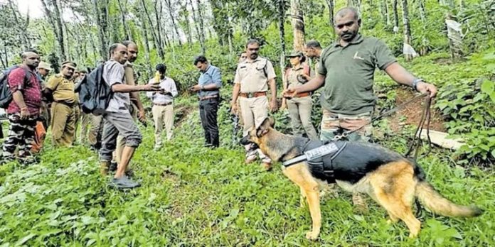തണ്ണിത്തോട് വനാതിർത്തിയിൽ സ്ഫോടകവസ്തു ശേഖരമെന്ന് സംശയം; പരിശോധന തണ്ണിത്തോട് വനാതിർത്തിയിൽ സ്ഫോടകവസ്തു ശേഖരമെന്ന് സംശയം; പരിശോധന