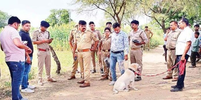 15കാരിയെ ക്രൂരമായി പീഡിപ്പിച്ച് കൊലപ്പെടുത്തി: കണ്ണുകൾ ചൂഴ്ന്നെടുത്തു ; കൈപ്പത്തിയിൽ ഇരുമ്പ് ആണികൾ തറച്ച നിലയിൽ 15കാരിയെ ക്രൂരമായി പീഡിപ്പിച്ച് കൊലപ്പെടുത്തി: കണ്ണുകൾ ചൂഴ്ന്നെടുത്തു ; കൈപ്പത്തിയിൽ ഇരുമ്പ് ആണികൾ തറച്ച നിലയിൽ