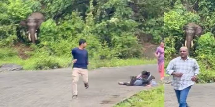 കാട്ടാനയെ കണ്ട് കാർ ഒതുക്കി, ടയർ മണ്ണിൽ താഴ്ന്നു ; മലപ്പുറത്ത് പാഞ്ഞടുത്ത കൊമ്പനിൽ നിന്ന് കഷ്ടിച്ച് രക്ഷ കാട്ടാനയെ കണ്ട് കാർ ഒതുക്കി, ടയർ മണ്ണിൽ താഴ്ന്നു ; മലപ്പുറത്ത് പാഞ്ഞടുത്ത കൊമ്പനിൽ നിന്ന് കഷ്ടിച്ച് രക്ഷ