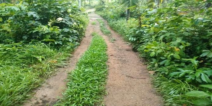 റാന്നി പഞ്ചായത്ത് 11-ാം വാർഡിൽ ഉപ്പുകുളത്തിൽ പടി റോഡിലെ ദുസ്ഥിതി മൂലം വലഞ്ഞ് നാട്ടുകാര് റാന്നി പഞ്ചായത്ത് 11-ാം വാർഡിൽ ഉപ്പുകുളത്തിൽ പടി റോഡിലെ ദുസ്ഥിതി മൂലം വലഞ്ഞ് നാട്ടുകാര്