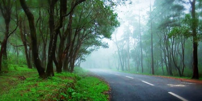 പൊന്മുടിയിലേക്ക് വലിയ വാഹനങ്ങള്ക്ക് നിരോധനം പൊന്മുടിയിലേക്ക് വലിയ വാഹനങ്ങള്ക്ക് നിരോധനം