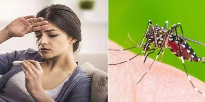 പനിച്ചുവിറച്ച് കേരളം ; അഞ്ചുജില്ലകളിൽ ആയിരത്തിനു മുകളില് രോഗികൾ പനിച്ചുവിറച്ച് കേരളം ; അഞ്ചുജില്ലകളിൽ ആയിരത്തിനു മുകളില് രോഗികൾ