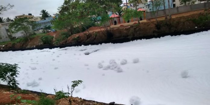 ബെല്ലന്ദൂര് തടാകത്തിലെ ജലം പതയായി നുരഞ്ഞു പൊങ്ങുന്നു ; പഠനവുമായി ഗവേഷകര് ബെല്ലന്ദൂര് തടാകത്തിലെ ജലം പതയായി നുരഞ്ഞു പൊങ്ങുന്നു ; പഠനവുമായി ഗവേഷകര്