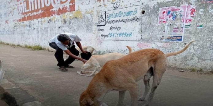 പട്ടിയിറച്ചി വില്പന നിരോധനം നീക്കി ഹൈക്കോടതി പട്ടിയിറച്ചി വില്പന നിരോധനം നീക്കി ഹൈക്കോടതി