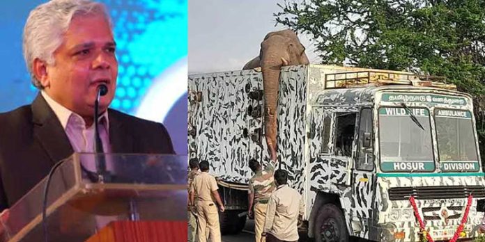 അരിക്കൊമ്പനെ വീണ്ടും പിടിച്ചത് വേദനാജനകം – ജസ്റ്റിസ് ദേവന് രാമചന്ദ്രന് അരിക്കൊമ്പനെ വീണ്ടും പിടിച്ചത് വേദനാജനകം – ജസ്റ്റിസ് ദേവന് രാമചന്ദ്രന്