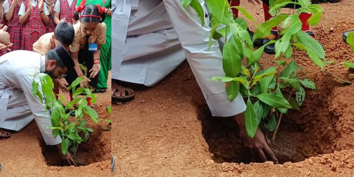പരിസ്ഥിതി ദിനം ആചരിച്ചു പരിസ്ഥിതി ദിനം ആചരിച്ചു